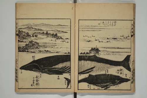 Whales and Whale Oil (Jokō roku) 除蝗録 by Hasegawa Settan (長谷川雪旦), book, 1826