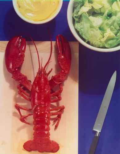 Untitled by Caroline Whiting Fellows, photograph, 1930-1939