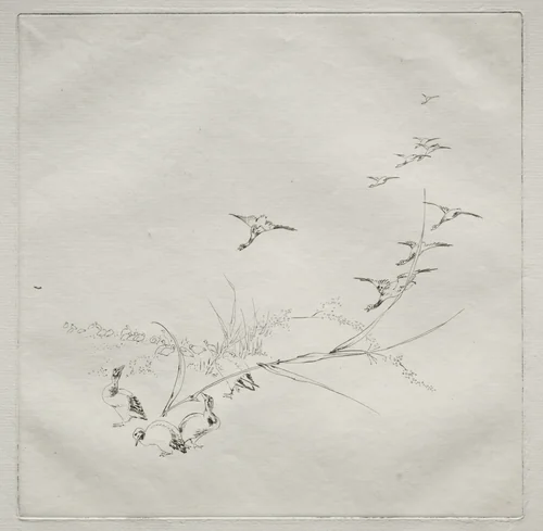 Parisian Service (Haviland service): Right in the sun (no. 9) by Félix Bracquemond, print, 1875