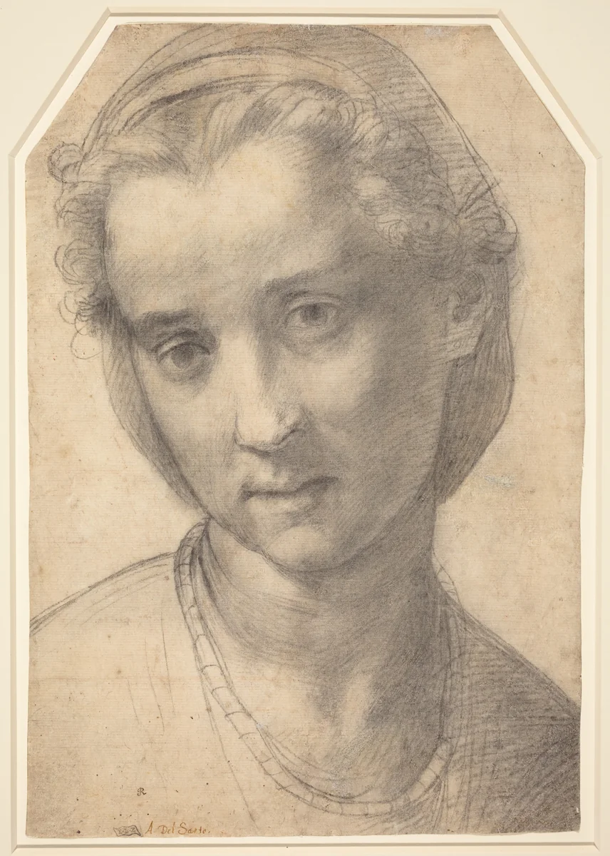 Head of a Woman by Andrea del Sarto, drawing, 1515