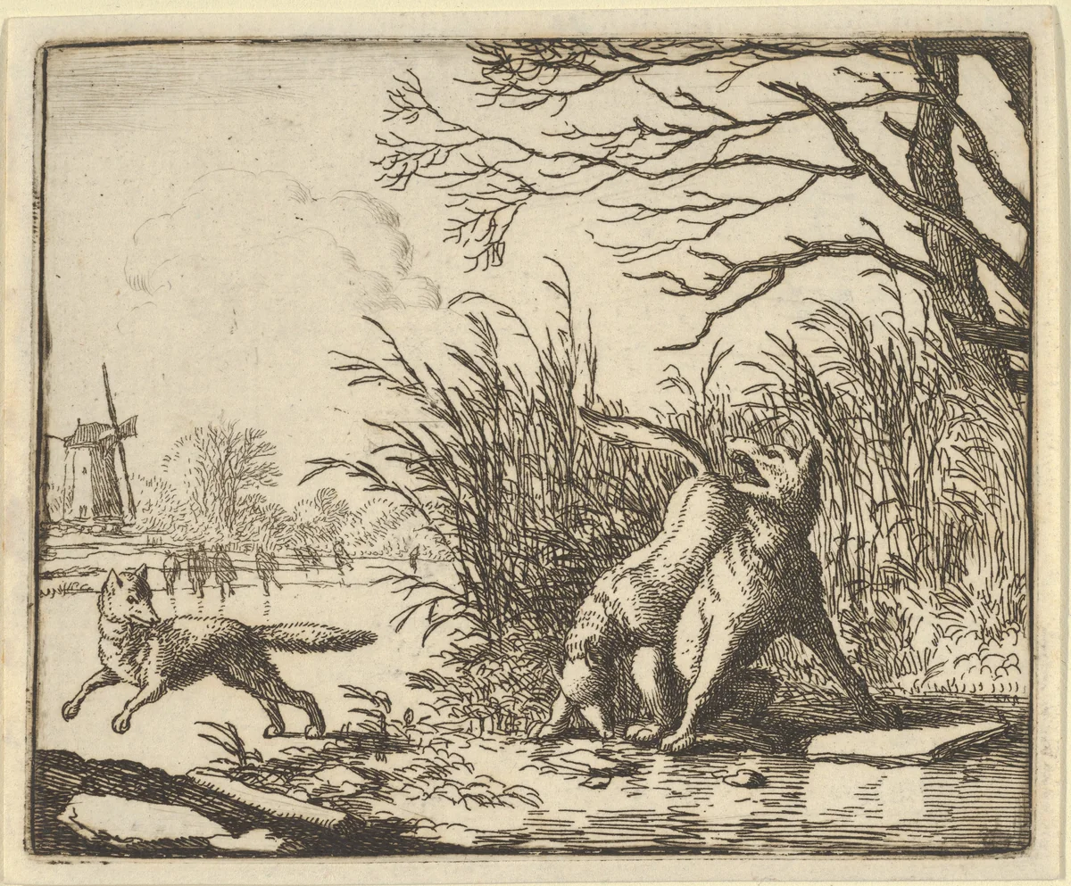The Wolf Accuses Renard Once Again from Hendrick van Alcmar's Renard The Fox by Allart van Everdingen, print, 1650-1675