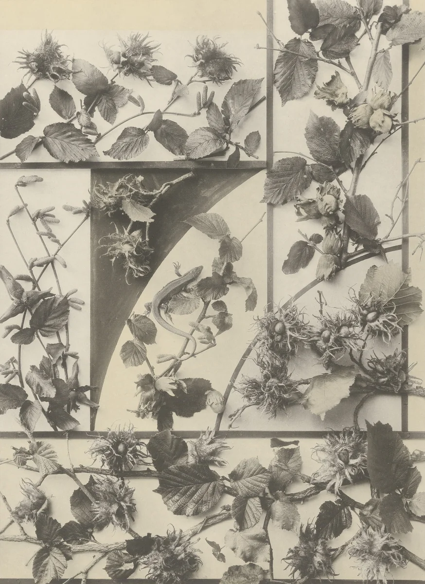 Page from Festons und Dekorative Gruppen by Unidentified Photographer, photograph, 1893