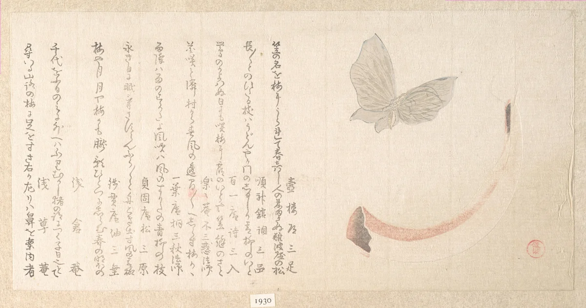 Flower-Vase of Horn and a Butterfly by Kubo Shunman (窪俊満), print, 1757-1820