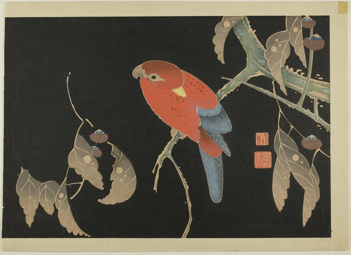 Red Parrot on the Branch of a Tree by Ito Jakuchu, print, 1900-1910