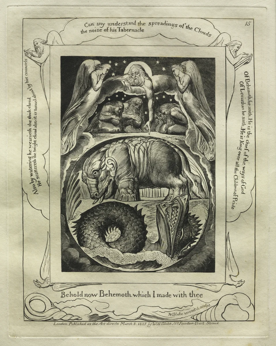 The Book of Job: Pl. 15, Behold now Behemoth which I made with thee by William Blake, print, 1825