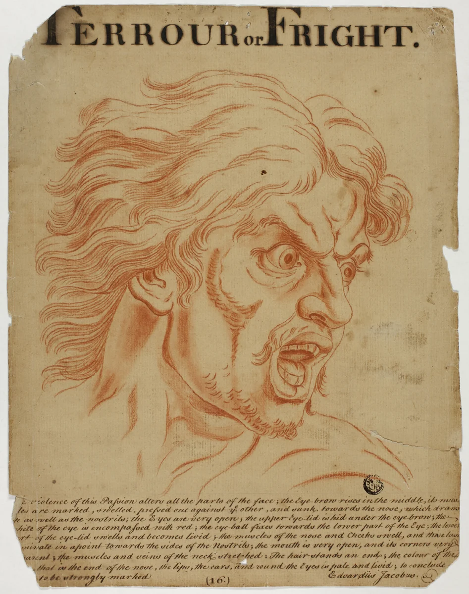 Terrour (sic) or Fright by Charles Le Brun, drawing, 1698-1799