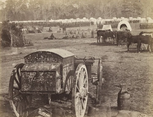 Inspection of Troops at Cumberlanding, Pamunkey, Virginia. by Alexander Gardner, photograph, 1862