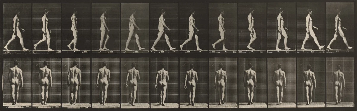Plate Number 2. Walking by Eadweard Muybridge, photograph, 1887