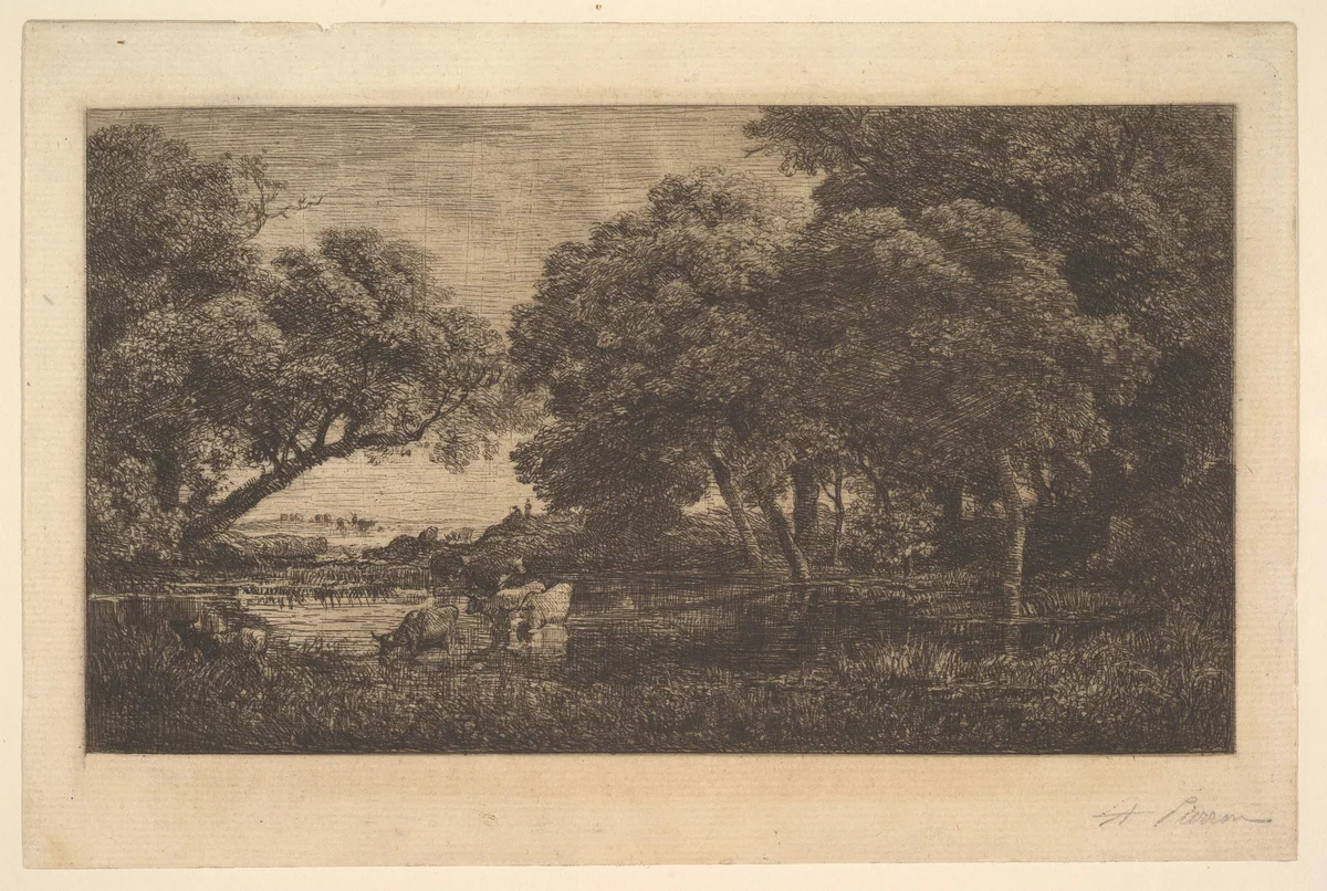 Stags in Woods by Charles-François Daubigny, print, 1850