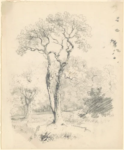 A Glade of Trees by James Goodwyn Clonney, drawing, 1835-1840