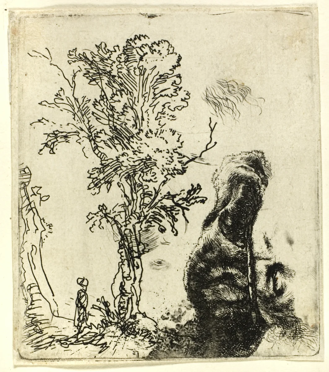 Sheet with Two Studies: A Tree, and the Upper Part of the Head of the Artist Wearing a Velvet Cap by Rembrandt van Rijn, print, 1639-1649
