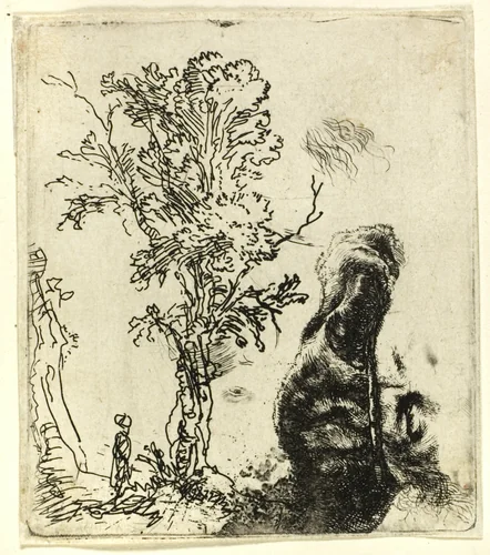 Sheet with Two Studies: A Tree, and the Upper Part of the Head of the Artist Wearing a Velvet Cap by Rembrandt van Rijn, print, 1639-1649
