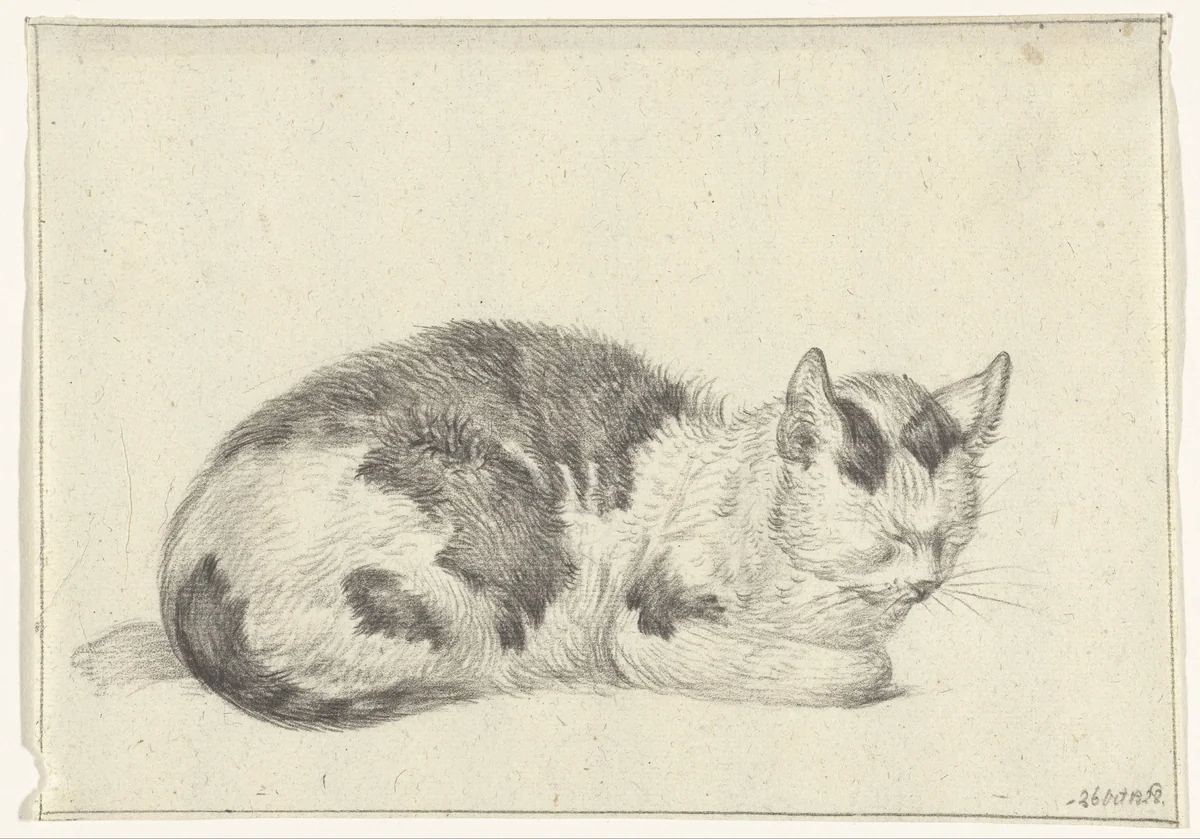 Liggende lapjeskat, naar rechts by Jean Bernard, drawing, 1828