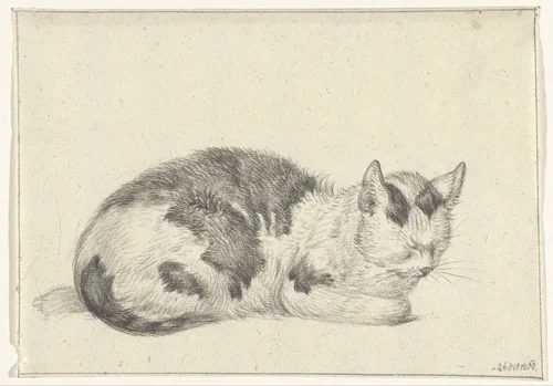 Liggende lapjeskat, naar rechts by Jean Bernard, drawing, 1828