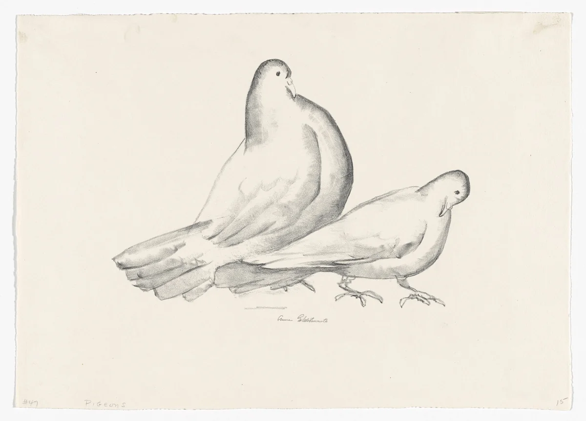 Pigeons (Cock and Hen) by Anne Goldthwaite, print, 1929