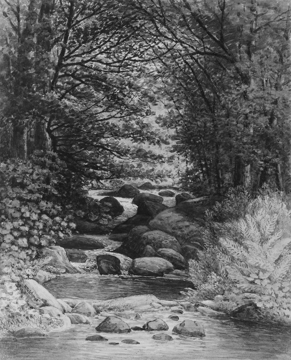 A Forest Cascade at Hiram, Maine by Henry Hitchings, artwork, 1859