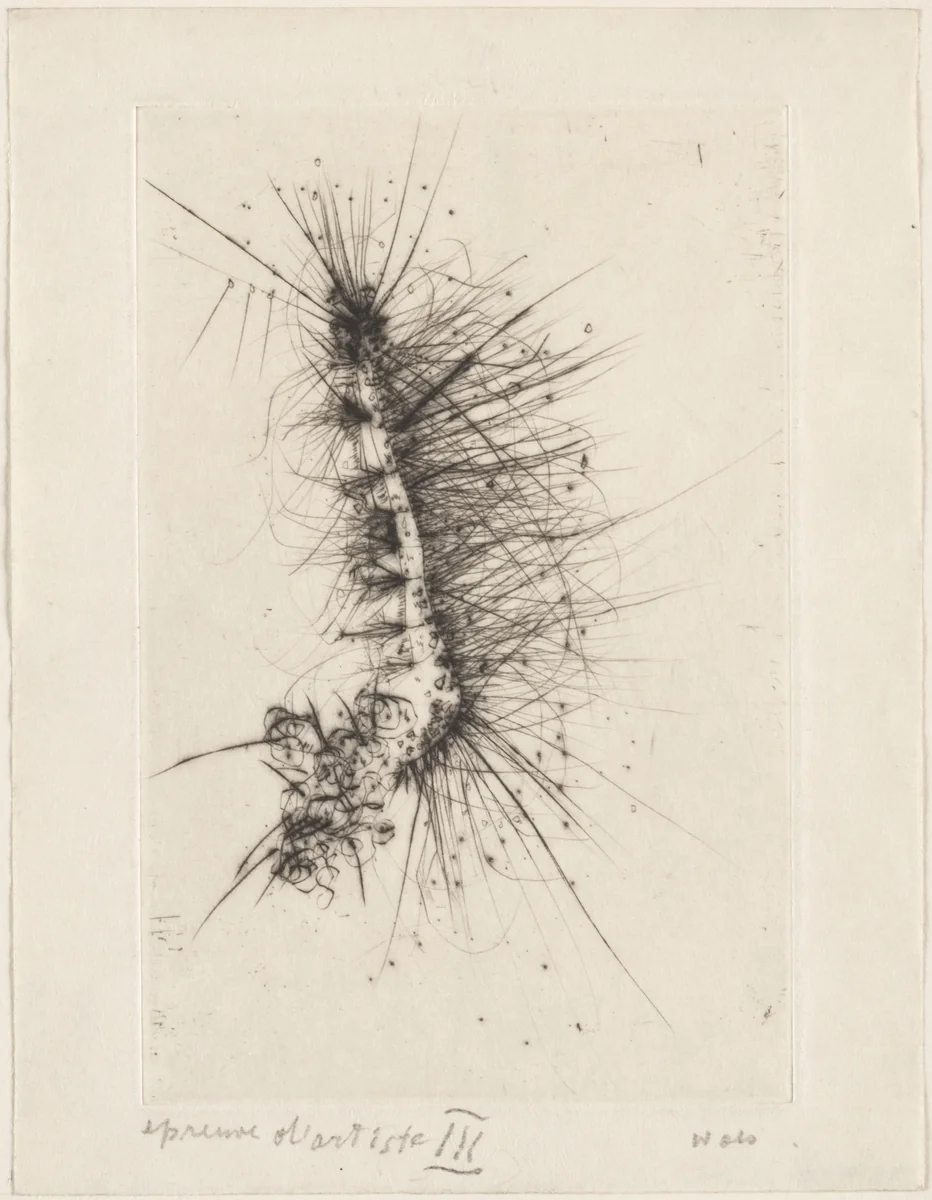 Frontispiece from the illustrated book Naturelles by René de Solier by Wols, print, 1946