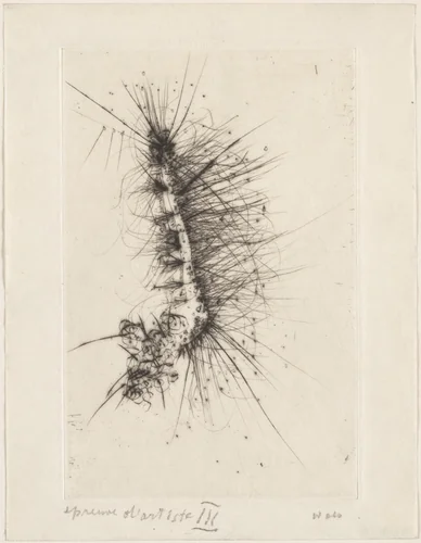 Frontispiece from the illustrated book Naturelles by René de Solier by Wols, print, 1946