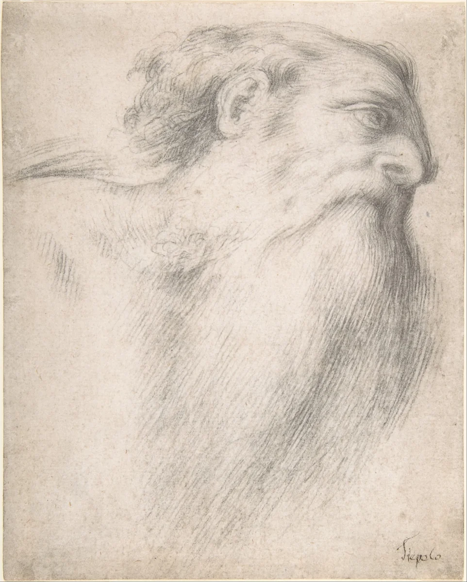 Head of a Bearded Man by Lorenzo Lotto, drawing, 1516-1517
