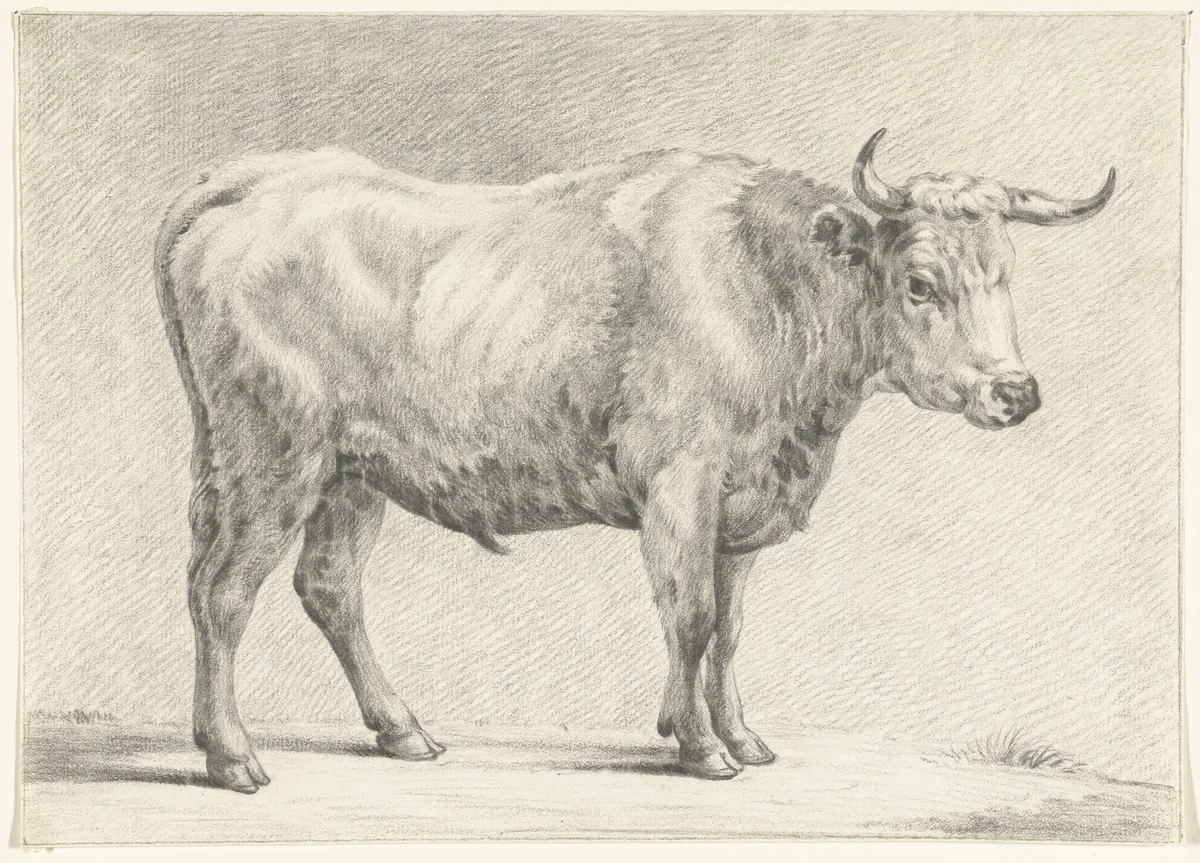 Staande stier, naar rechts by Jean Bernard, drawing, 1775-1833