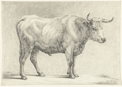 Staande stier, naar rechts by Jean Bernard, drawing, 1775-1833