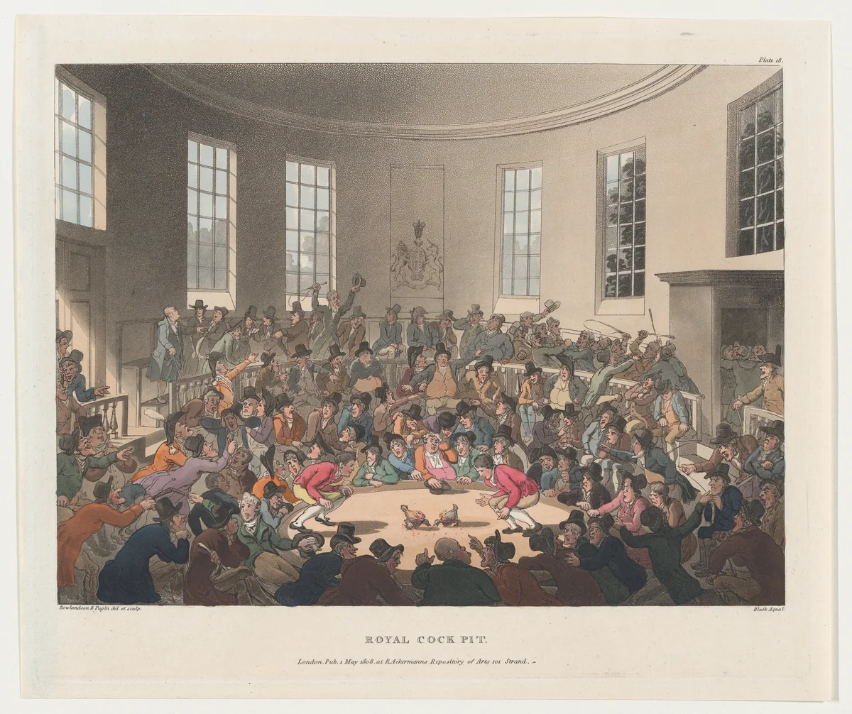 Royal Cockpit by Thomas Rowlandson, print, 1808