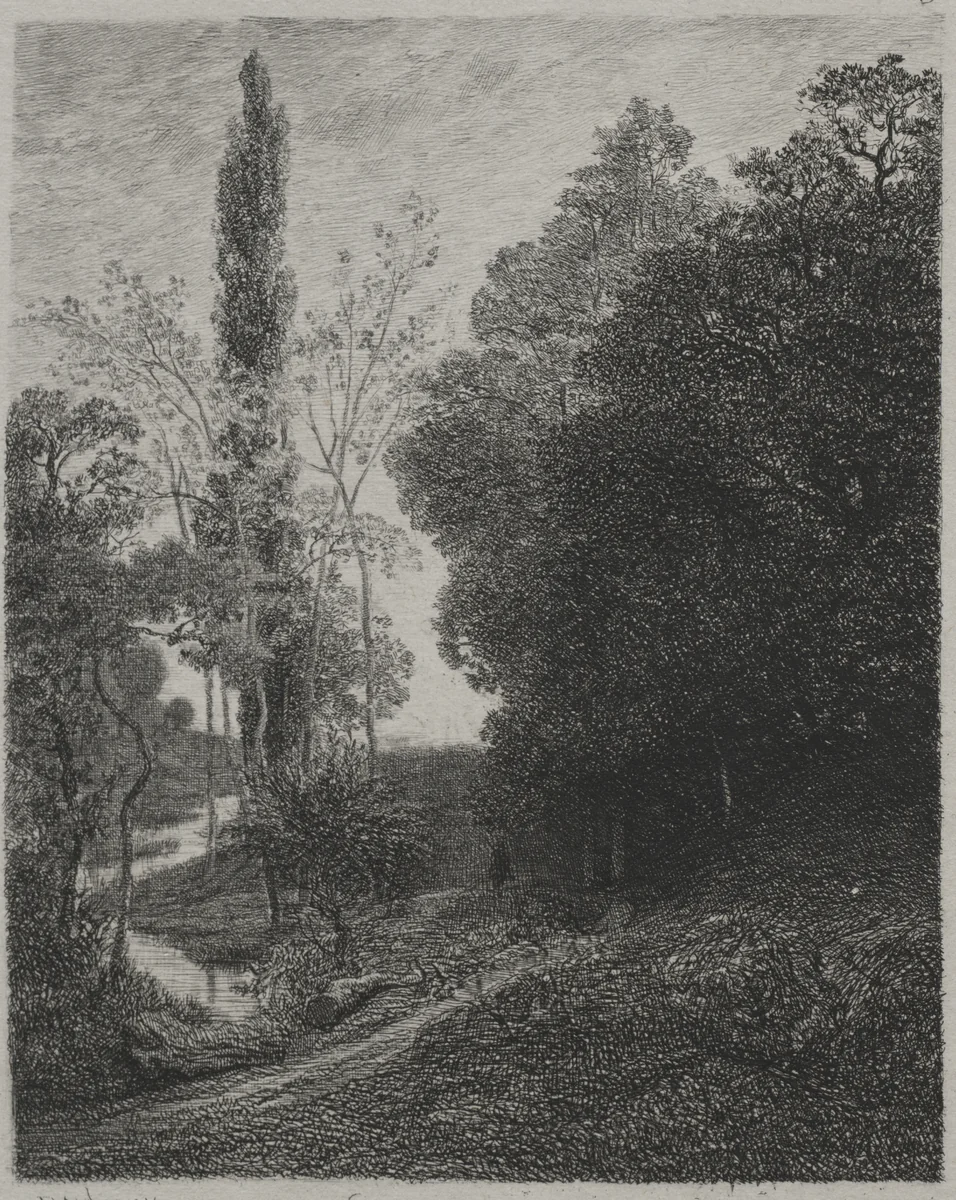 Banks of the River Cousin by Charles-François Daubigny, print, 1850