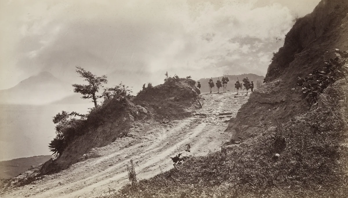 Caryodors on the Solola Trail by Eadweard Muybridge, photograph, 1875