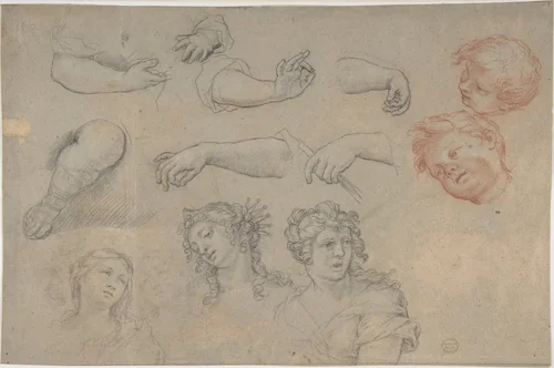 Studies of Heads and Hands by anonymous, drawing, 1600-1699