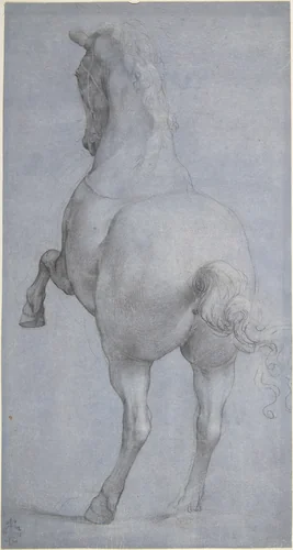 Rearing Horse in Rear Three-Quarter View by anonymous, drawing, 1500-1600