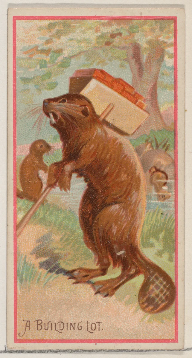 A Building Lot, from the Jokes series (N87) for Duke brand cigarettes by W. Duke, Sons & Co., print, 1890