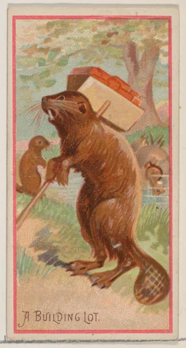 A Building Lot, from the Jokes series (N87) for Duke brand cigarettes by W. Duke, Sons & Co., print, 1890