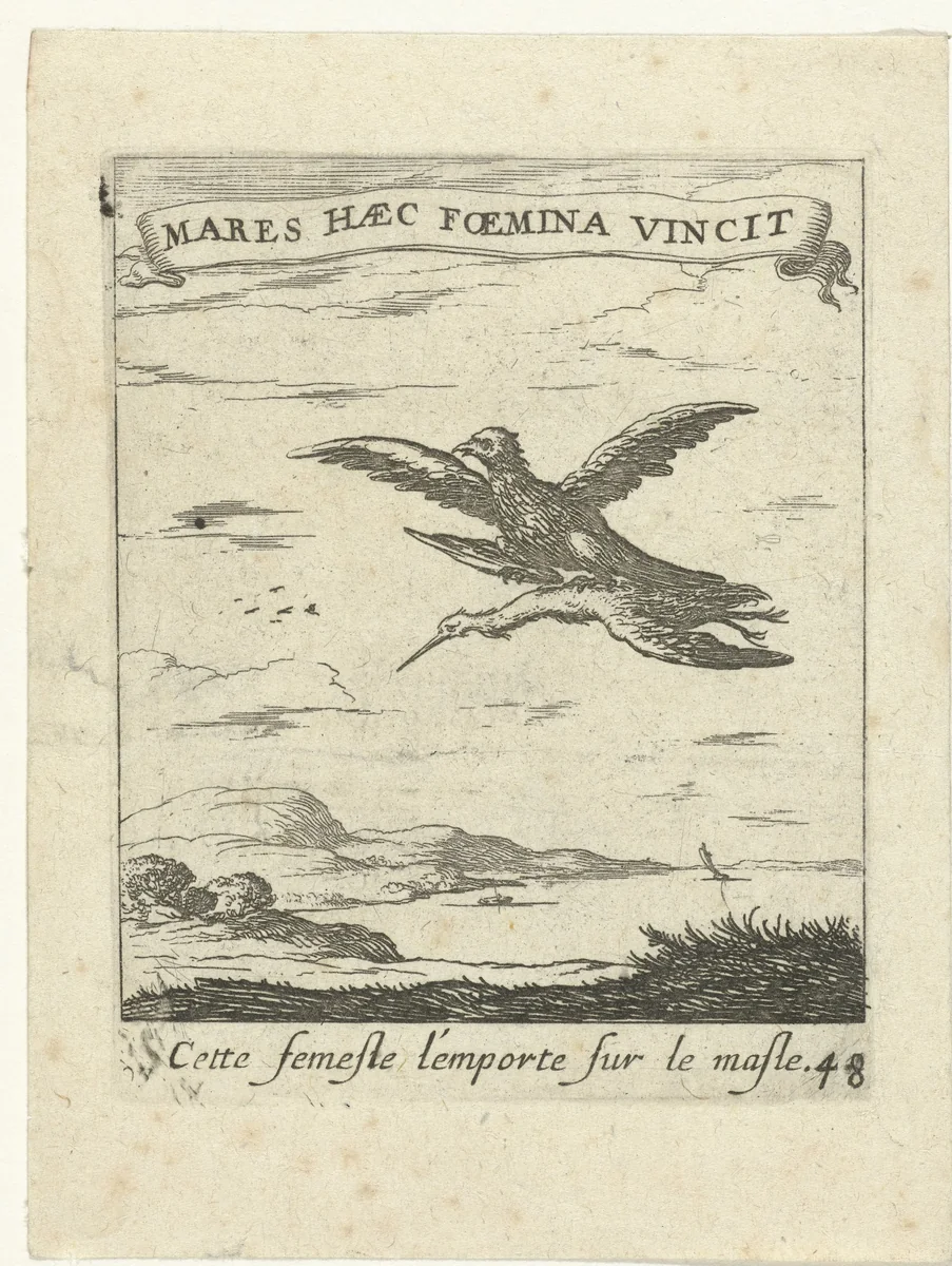Valk met ooievaar by Albert Flamen, print, 1672