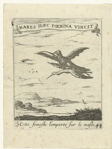 Valk met ooievaar by Albert Flamen, print, 1672