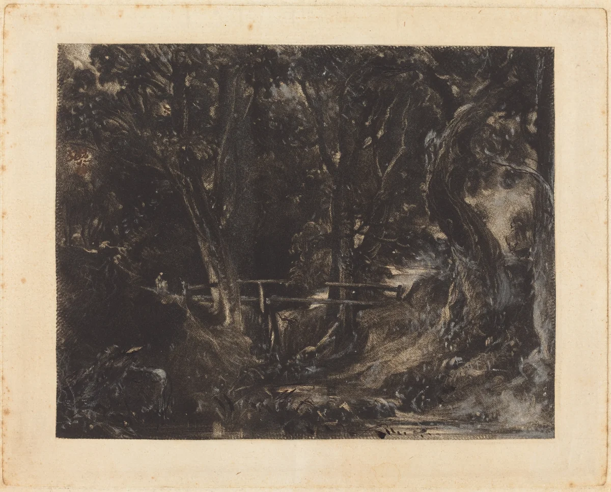 A Dell at Helmingham Park, Suffolk by David Lucas; John Constable, print, 1830