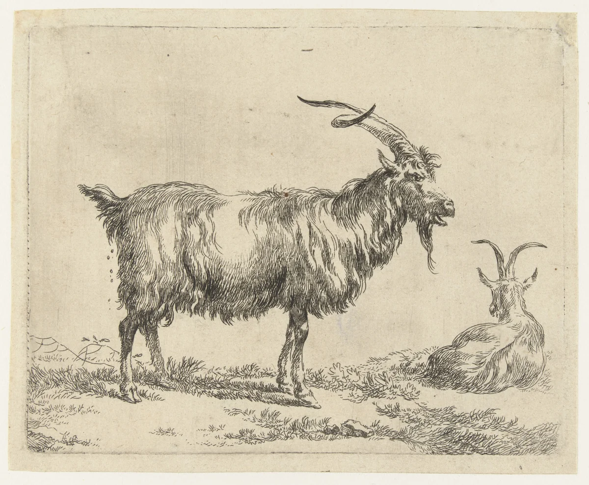 Twee geiten by Nicolaes Pietersz Berchem, print, 1648-1652