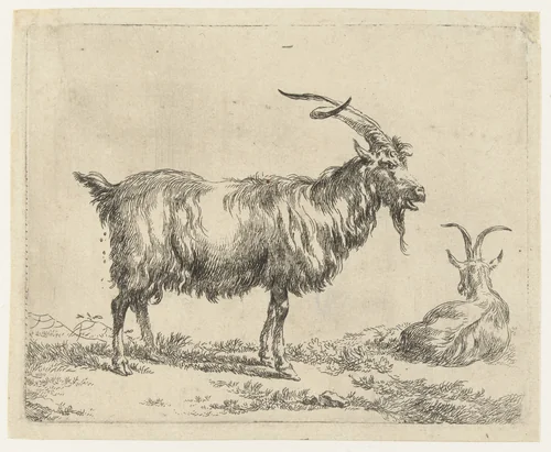 Twee geiten by Nicolaes Pietersz Berchem, print, 1648-1652
