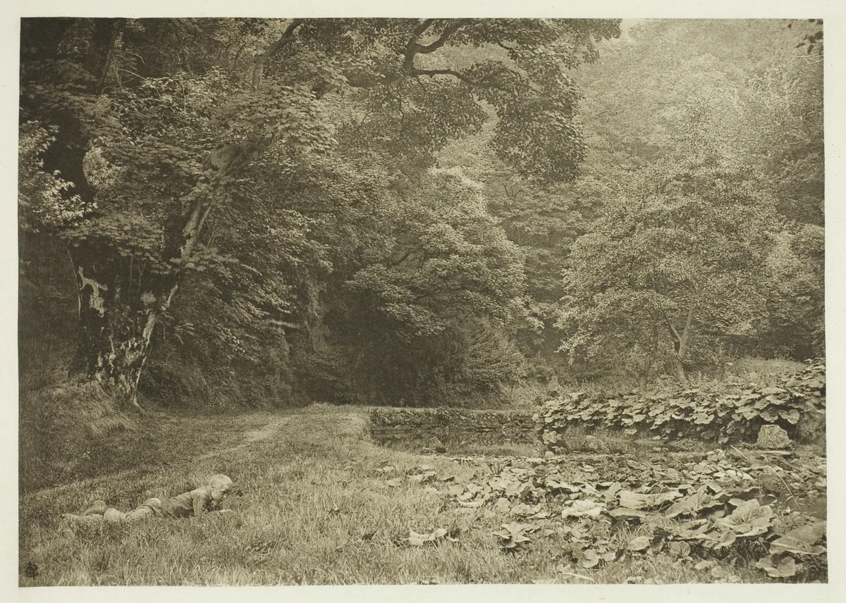 A Quiet Nook in Beresford Dale by Peter Henry Emerson, print, 1880-1888