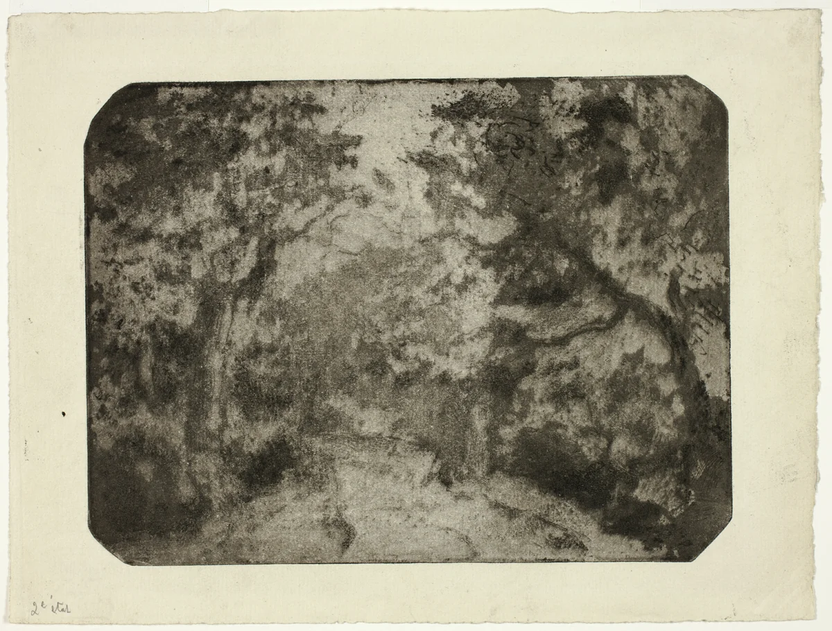 Wooded Lane at Pontoise by Camille Pissarro, print, 1879