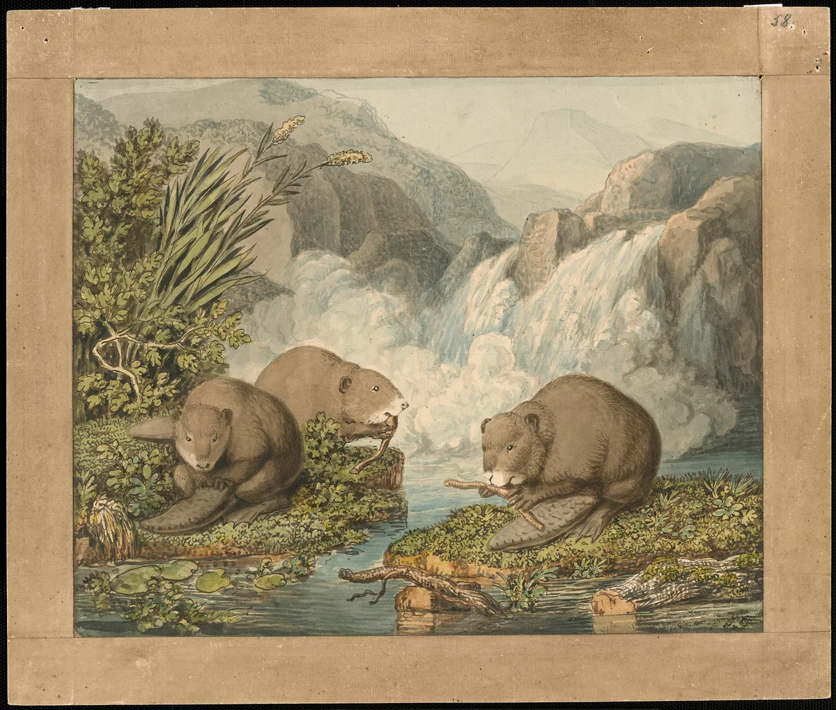 Three Beavers Building a Dam by J. H. W. Tischbein, print, 1795-1805