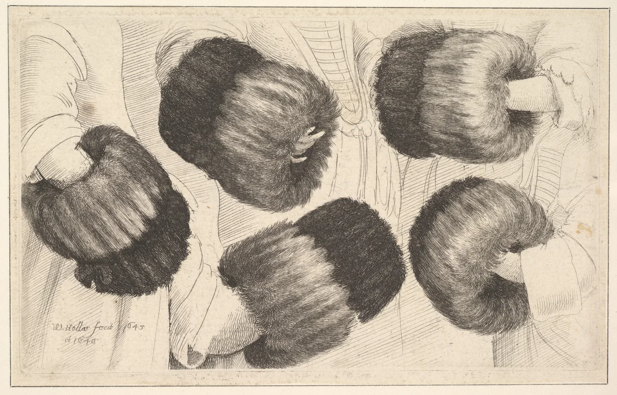 A Muff in Five Views by Wenceslaus Hollar, print, 1645-1646