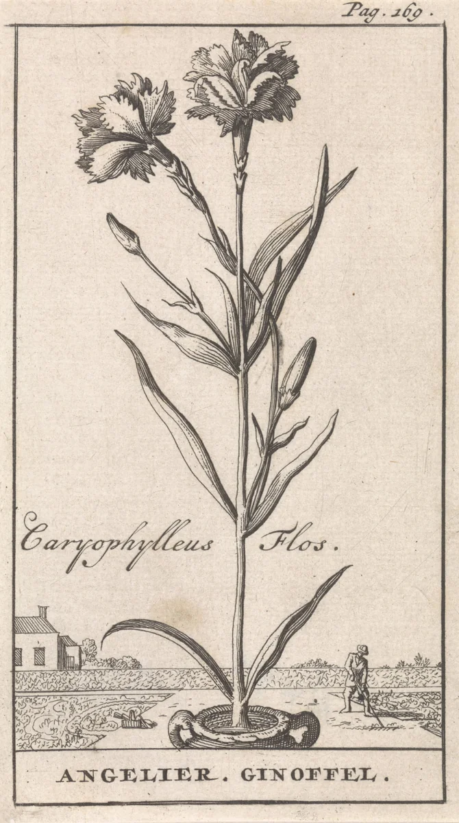 Titelpagina en acht prenten met bloemen by Caspar Luyken, print, 1698