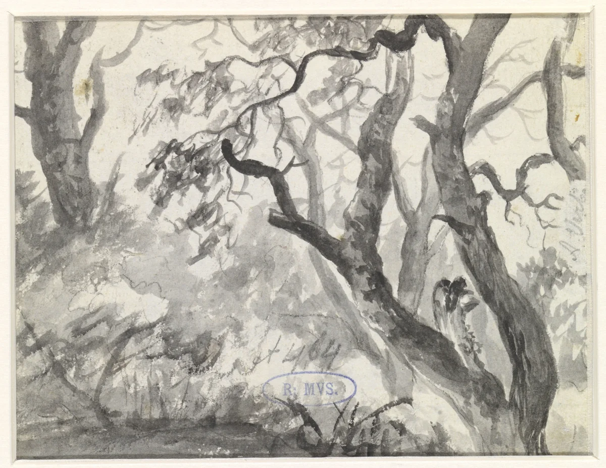 Bosgezicht by Adriaen Hendriksz. Verboom, drawing, 1638-1675