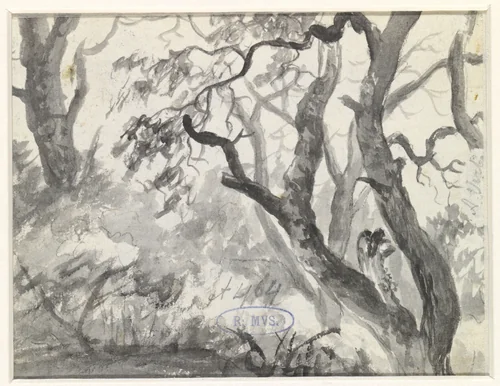 Bosgezicht by Adriaen Hendriksz. Verboom, drawing, 1638-1675