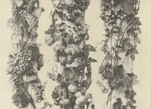 Page from Festons und Dekorative Gruppen by Unidentified Photographer, photograph, 1893