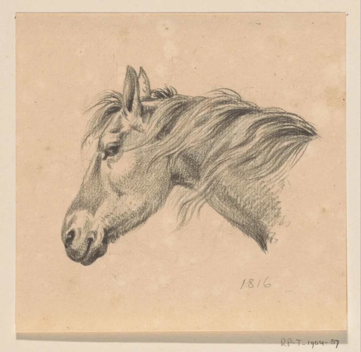 Hoofd van een paard, naar links by Jean Bernard, drawing, 1816