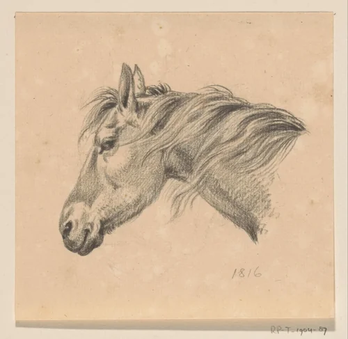 Hoofd van een paard, naar links by Jean Bernard, drawing, 1816