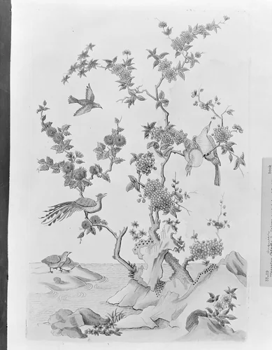 [Book of different species of birds, flowers, plants, and trophies of China] by Gabriel Huquier, book, 1710-1772