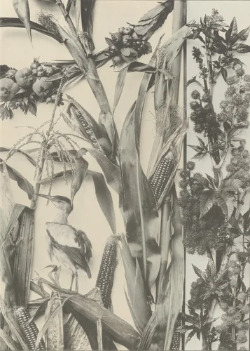 Page from Festons und Dekorative Gruppen by Unidentified Photographer, photograph, 1893