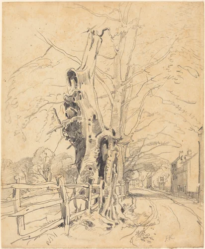 Trees by a Rail Fence by John Frederick Kensett, drawing, 1850